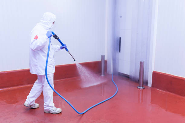 Best Spring Cleaning  in El Paso, TX